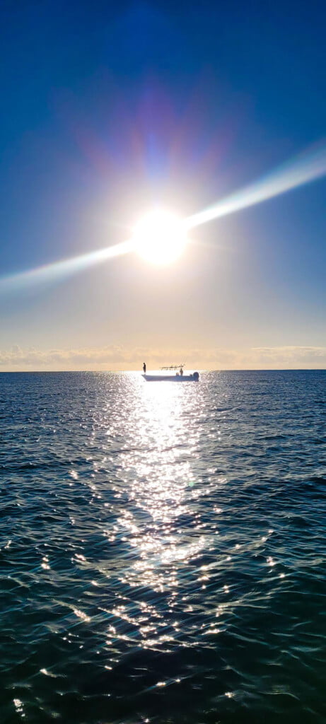 trolling for sardines during sunrise