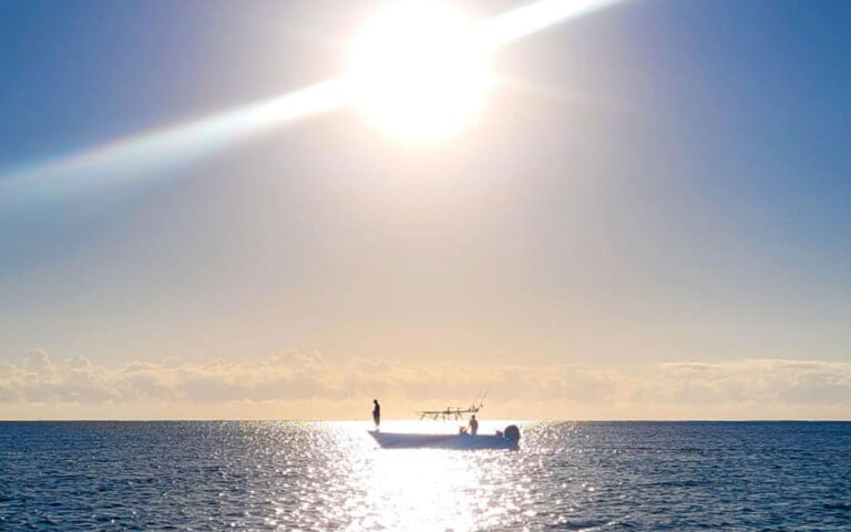 trolling for sardines during sunrise