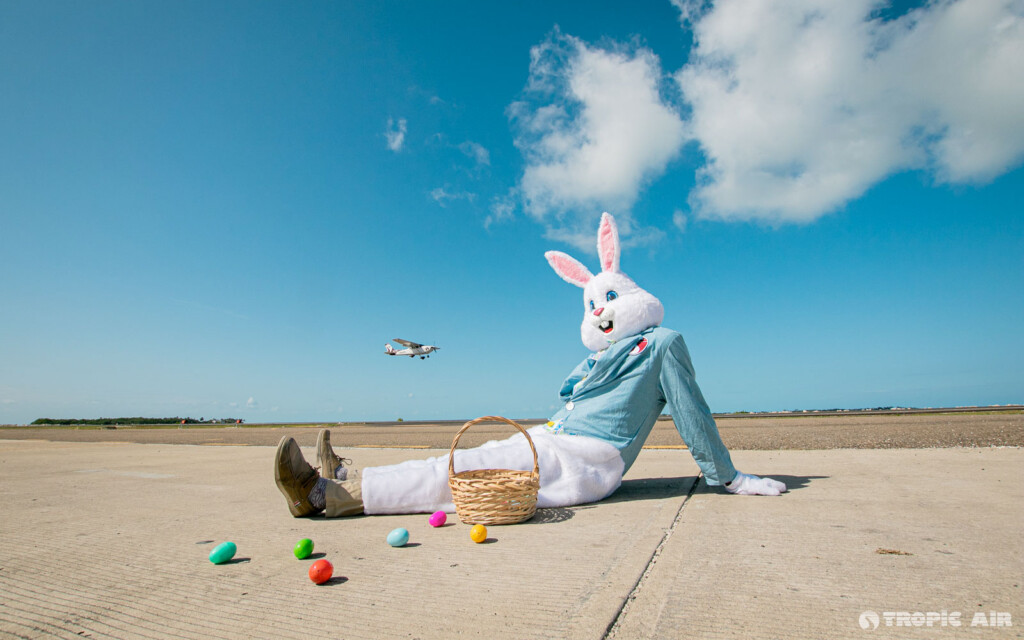 easter bunny tropic air san pedro