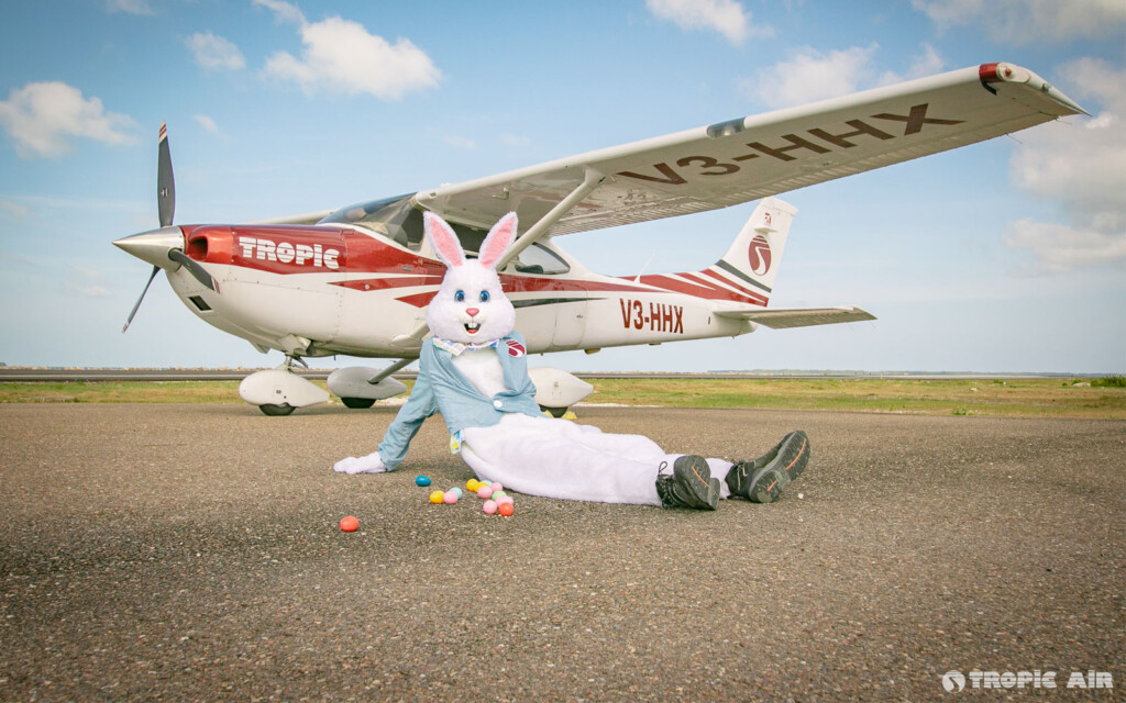 easter bunny tropic air san pedro