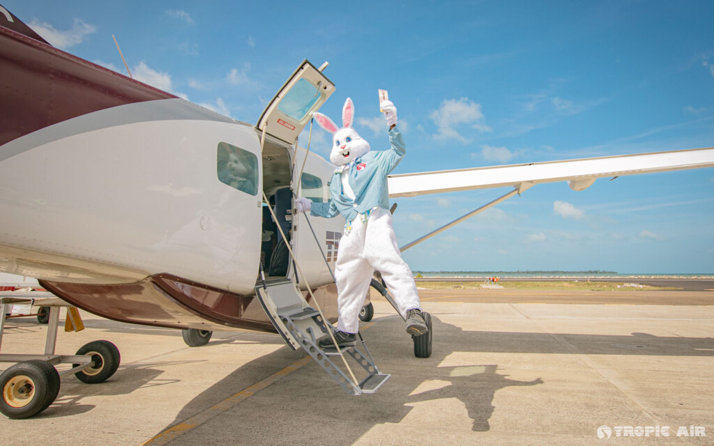 easter bunny tropic air san pedro