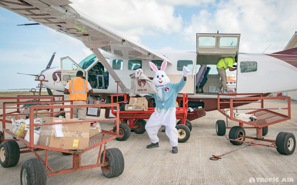 easter bunny tropic air san pedro
