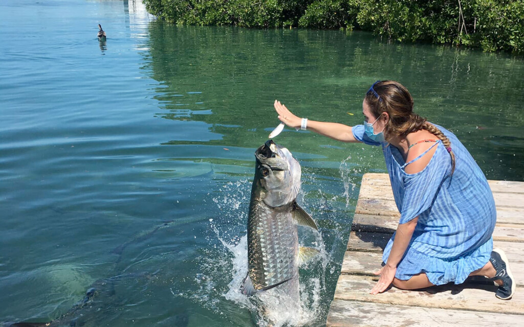 tarpon cove caye caulker receives makeover