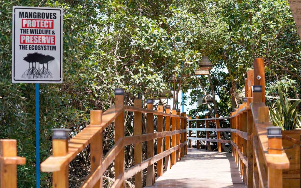 tarpon cove caye caulker receives makeover