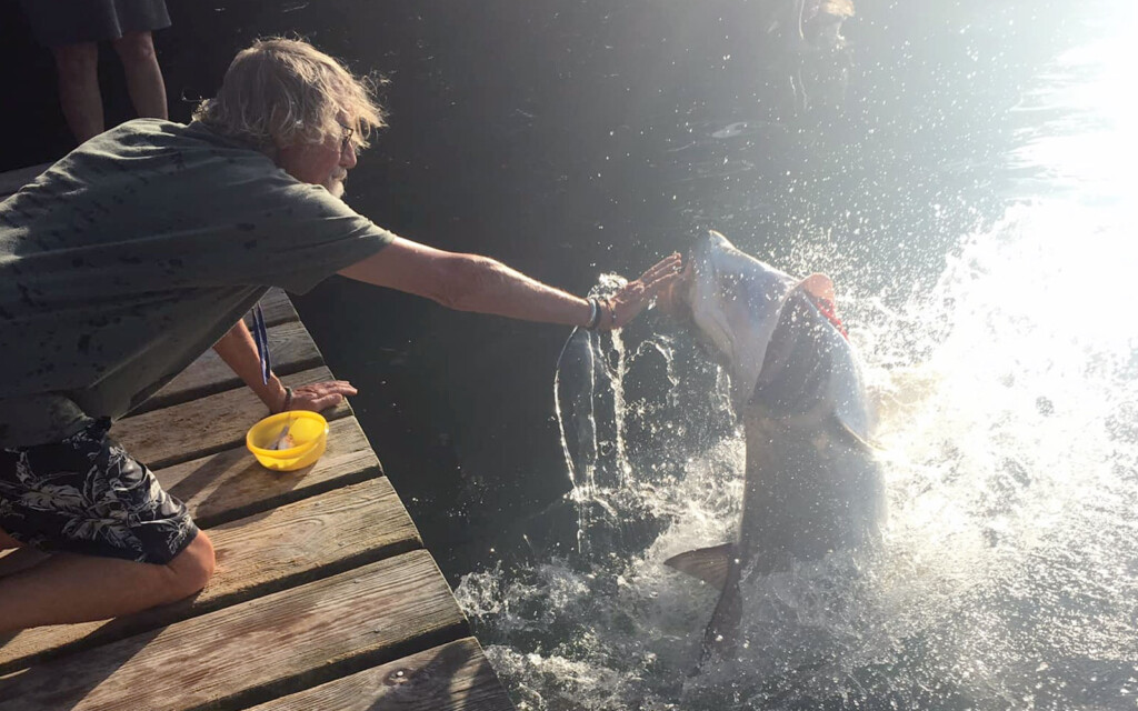 tarpon cove caye caulker receives makeover