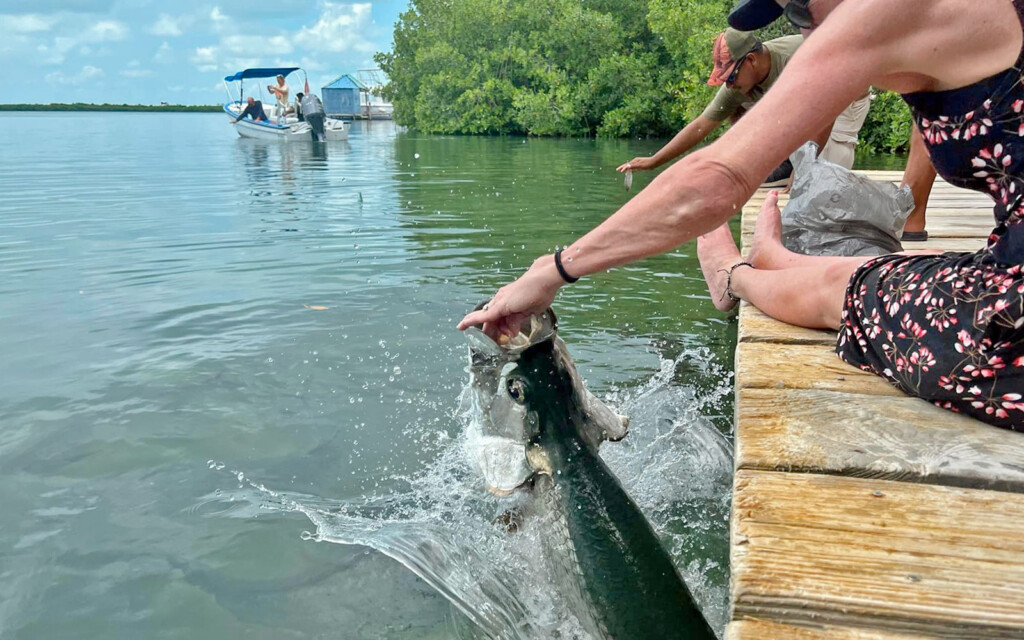 tarpon cove caye caulker receives makeover