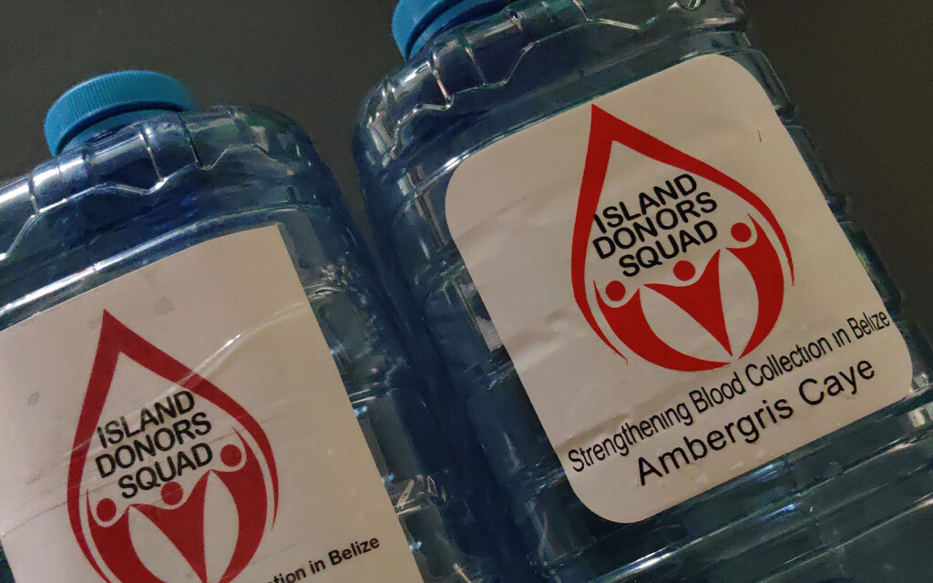 The blood donation team on the island mobilizes blood donation activities