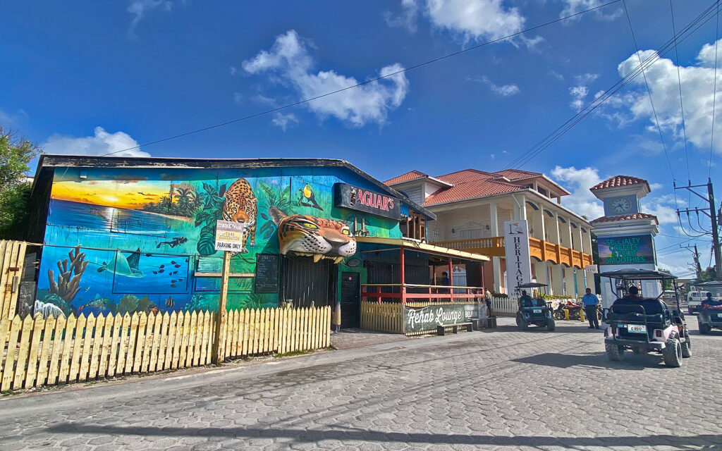 Jaguar Temple nightclub demolished