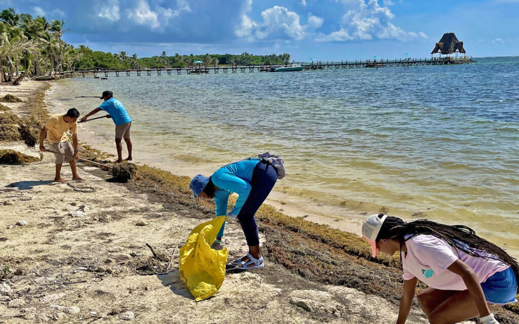 jimmy buffett margaritaville
