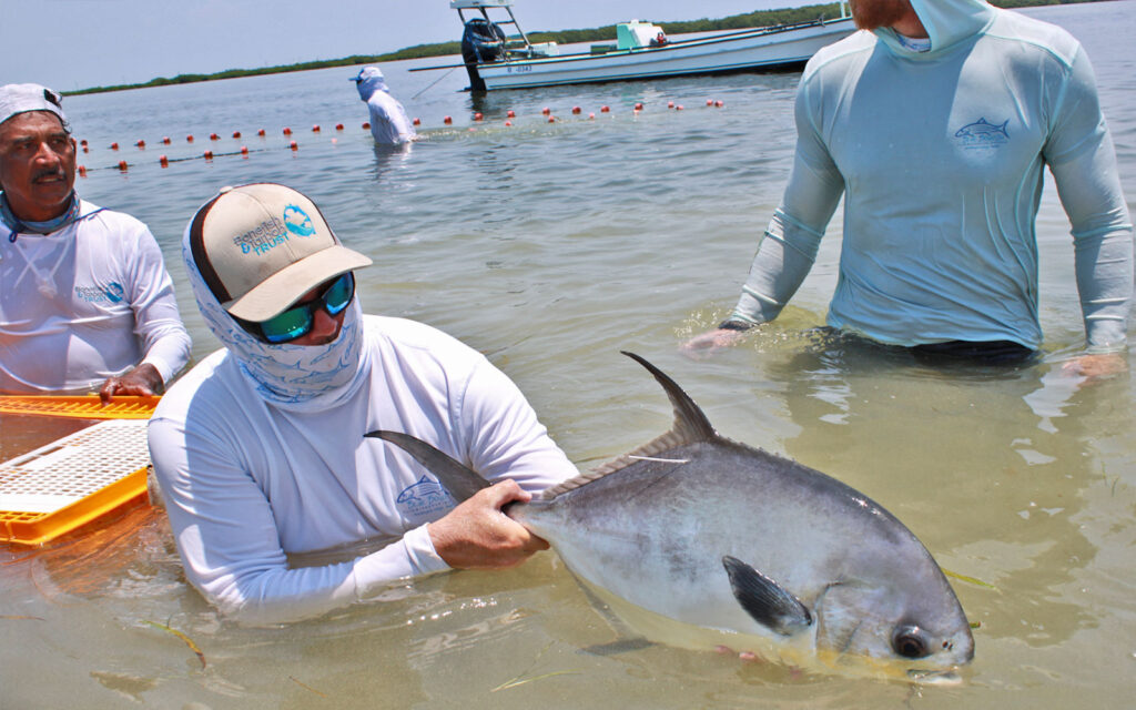 Flats Fishery Conservation Bonefish & Tarpon Trust