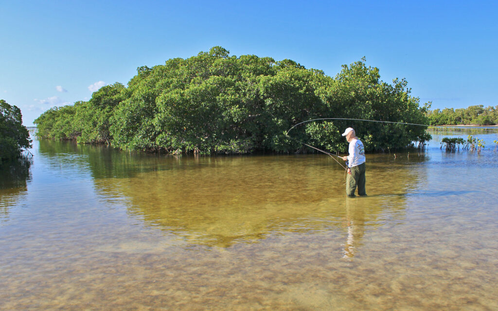 Flats Fishery Conservation Bonefish & Tarpon Trust