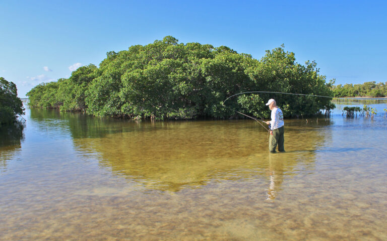 Flats Fishery Conservation Bonefish & Tarpon Trust