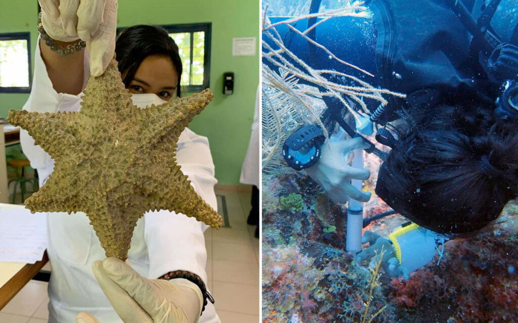 marine biologist bianca narvaez