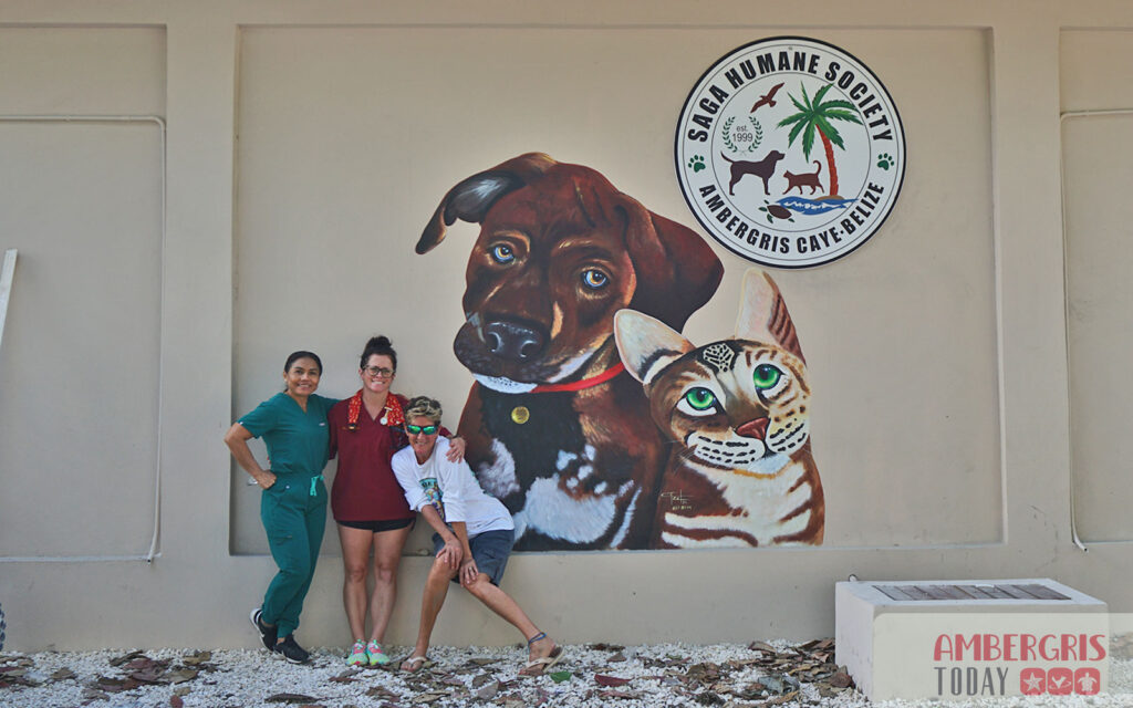 saga humane society