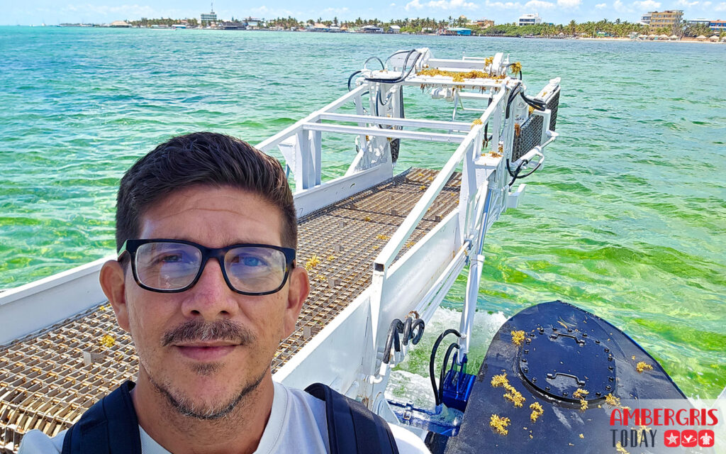 sargassum harvesters for San Pedro, Ambergris Caye