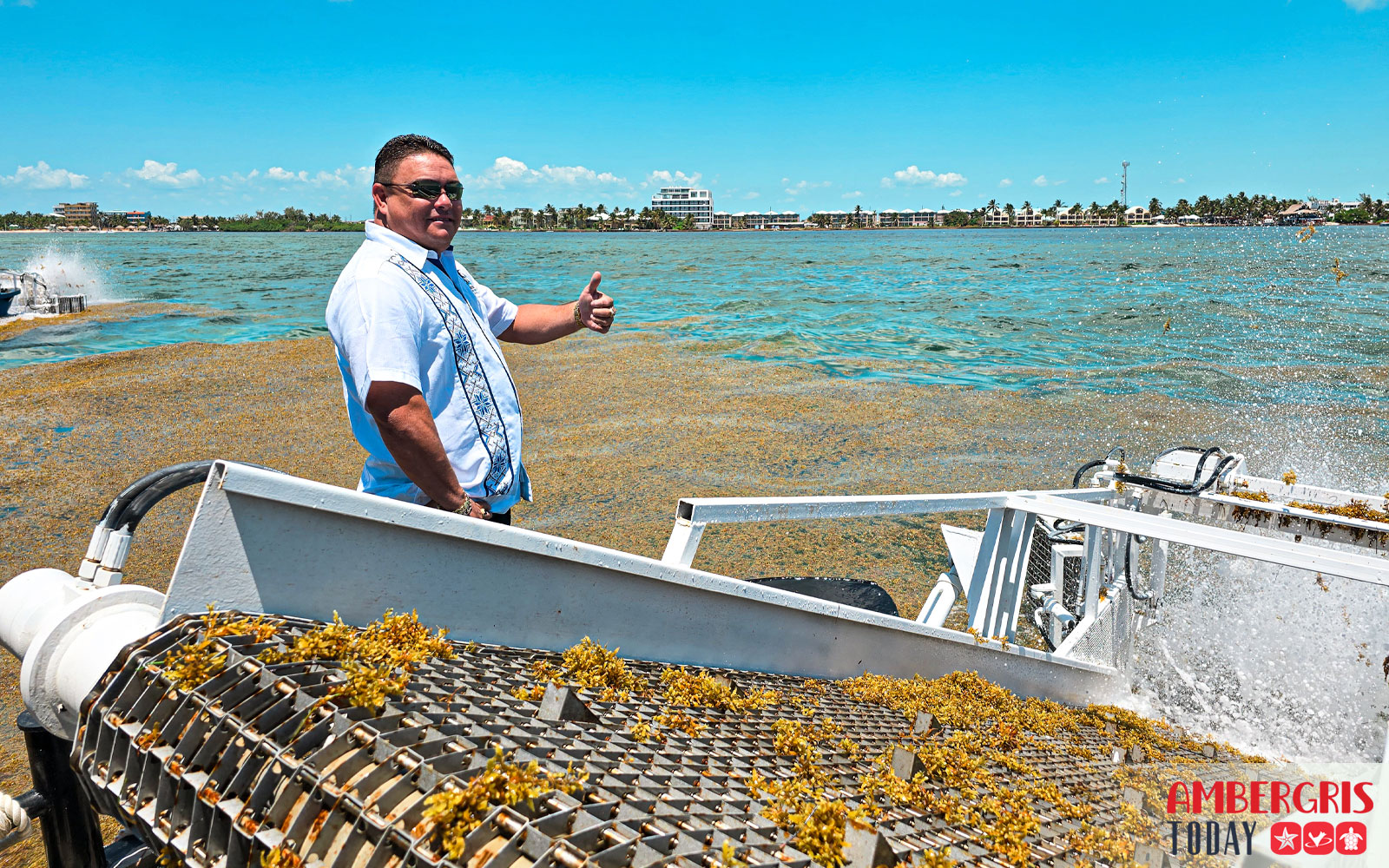 sargassum harvesters for San Pedro, Ambergris Caye