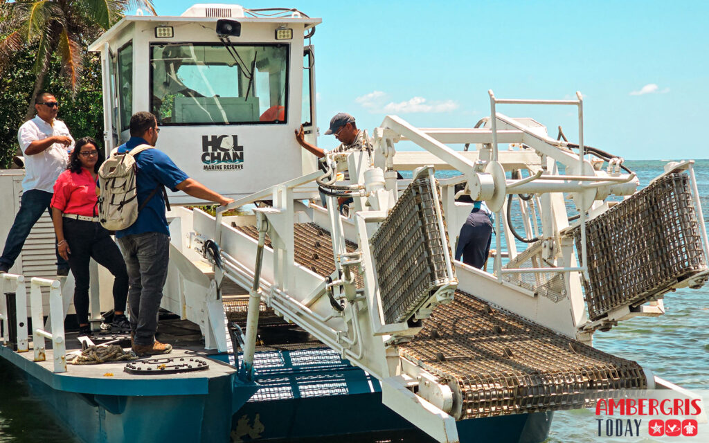 sargassum harvesters for San Pedro, Ambergris Caye