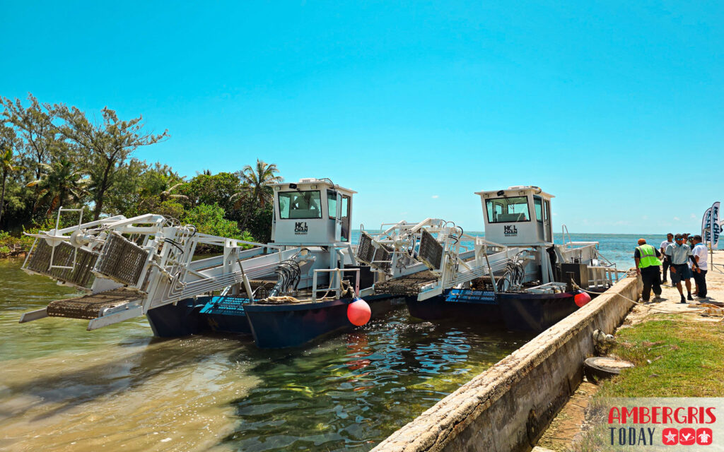 sargassum harvesters for San Pedro, Ambergris Caye