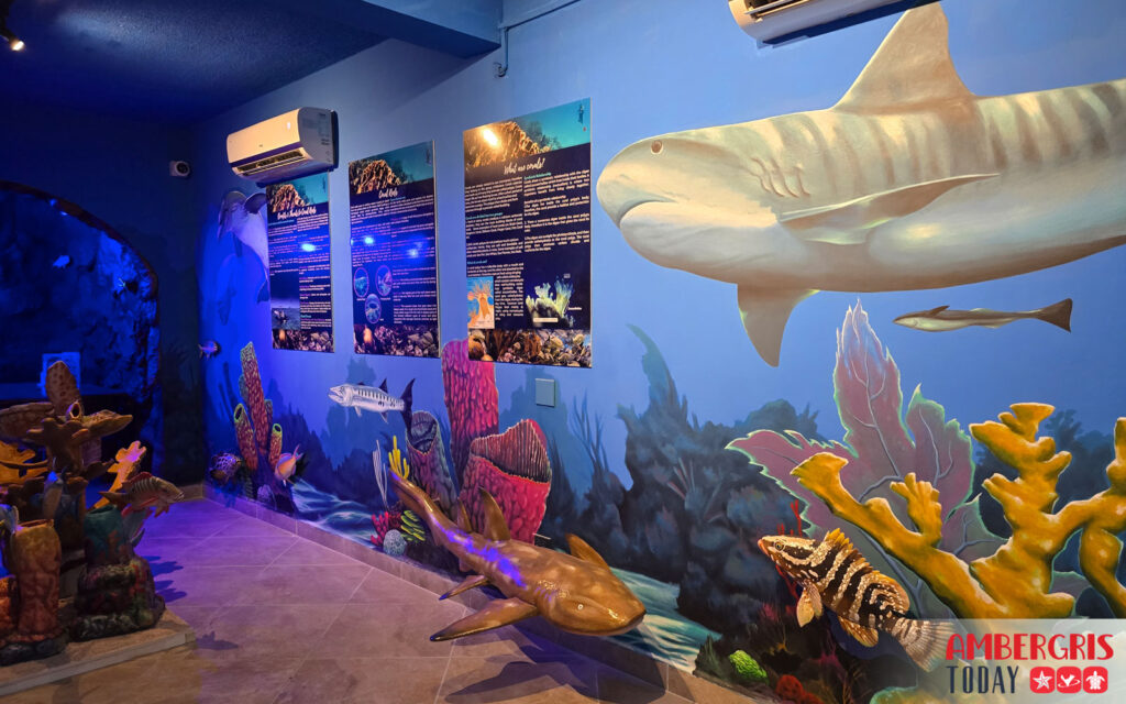 hol chan marine education center