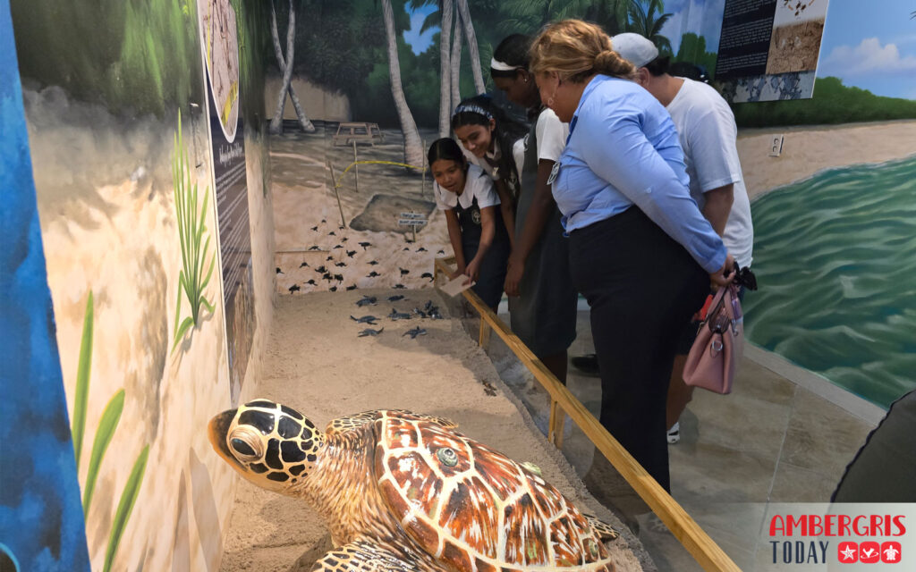 hol chan marine education center