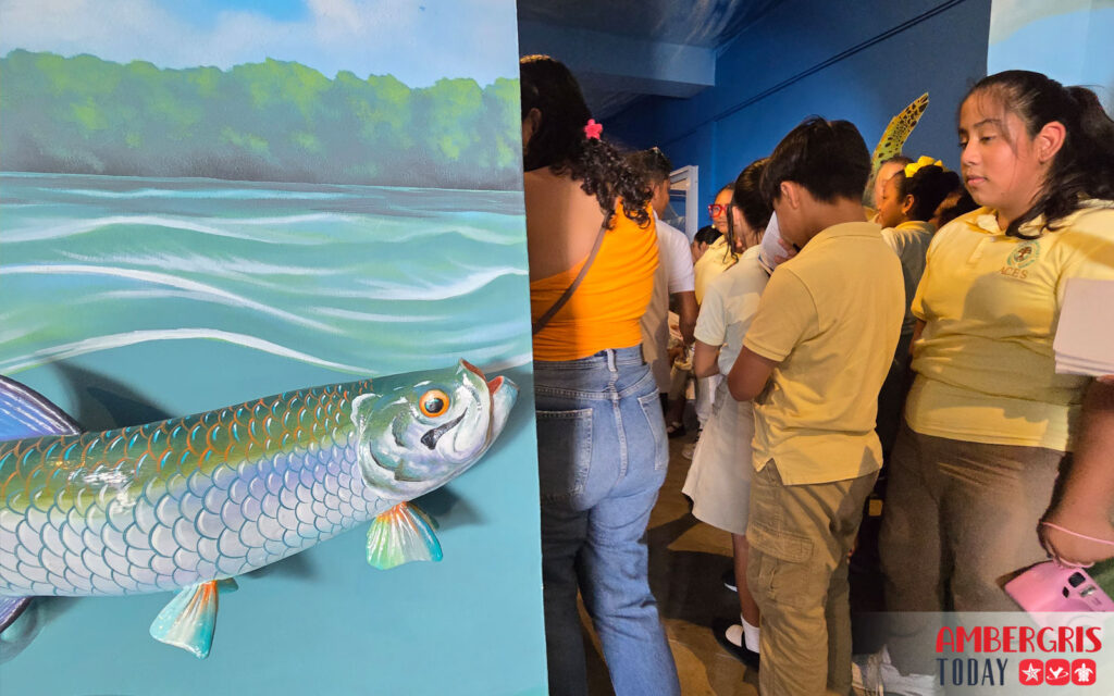 hol chan marine education center