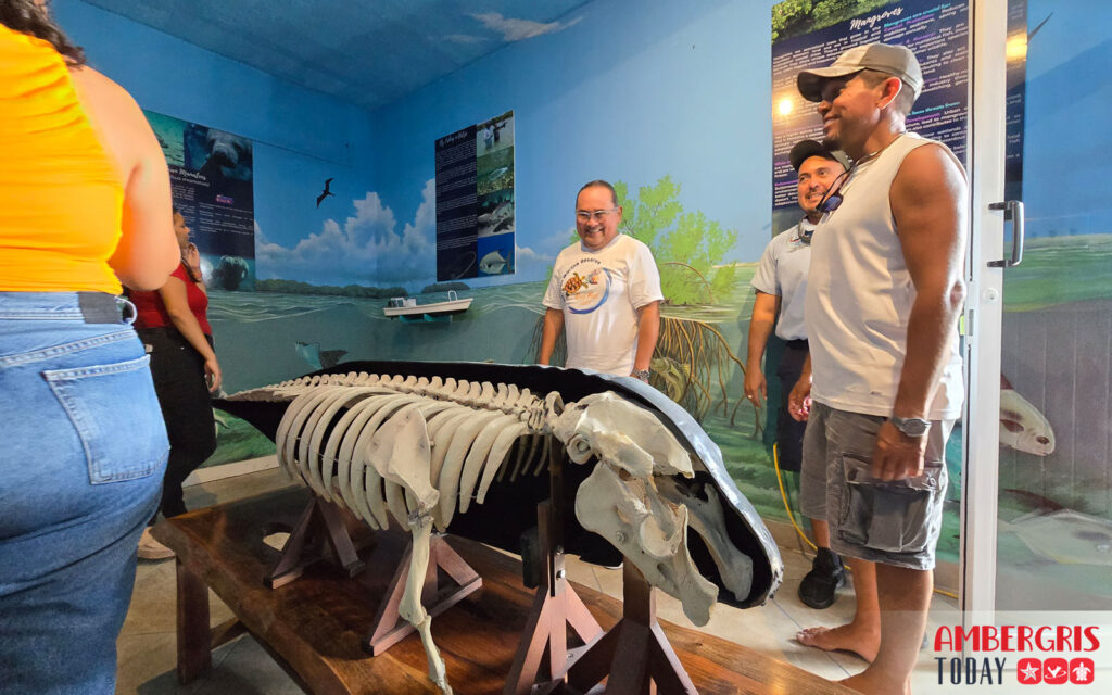 hol chan marine education center