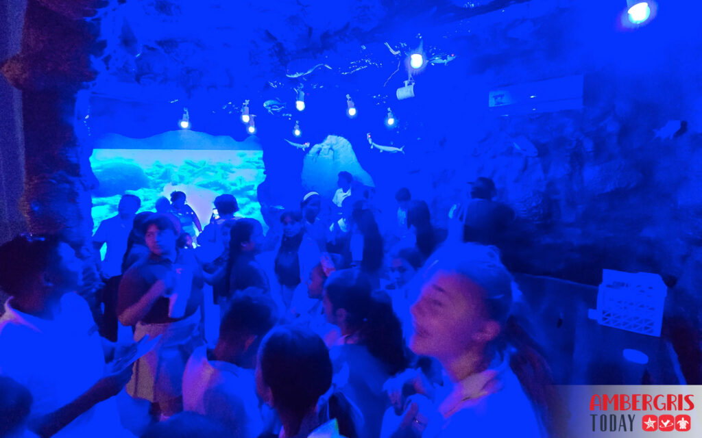 hol chan marine education center