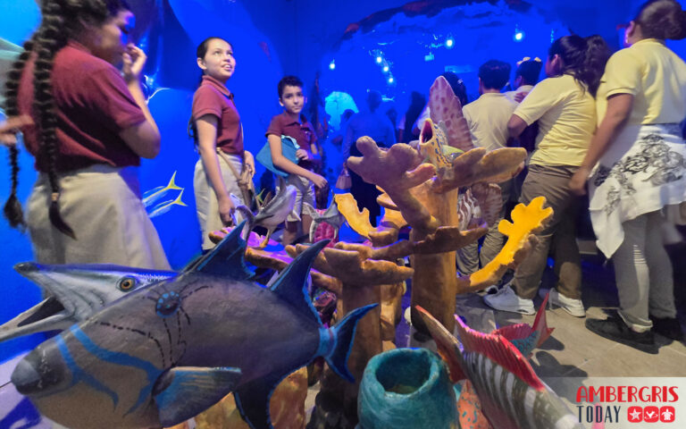 hol chan marine education center