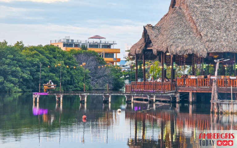 the purple pelican restaurant sunset dinner