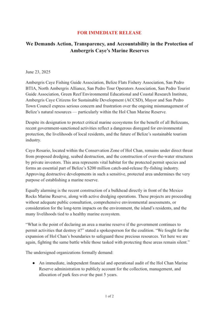 Hol Chan Ian Pou addresses concerns