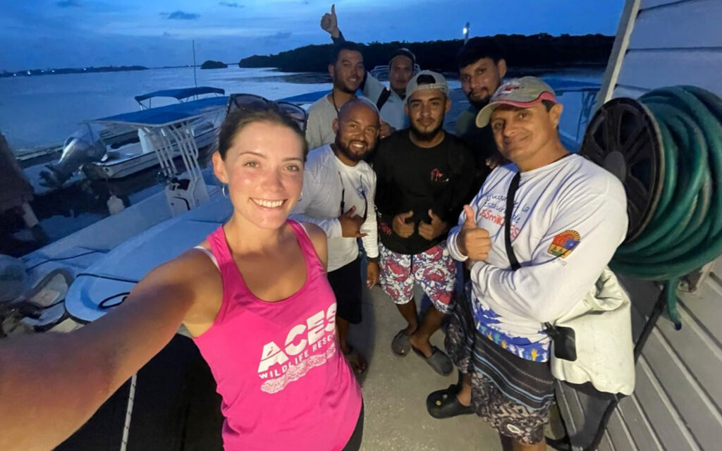 baby sea turtle rescue san pedro