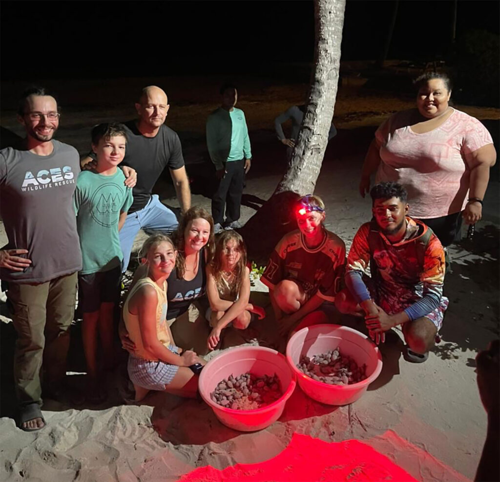 baby sea turtle rescue san pedro