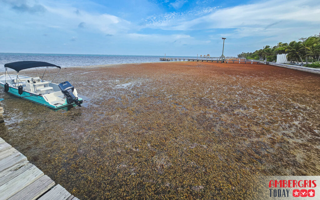 slow season in belize