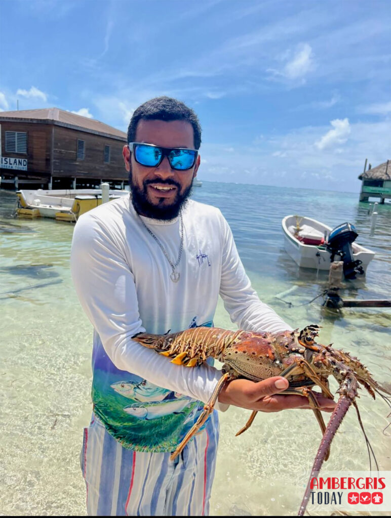 lobster season open belize
