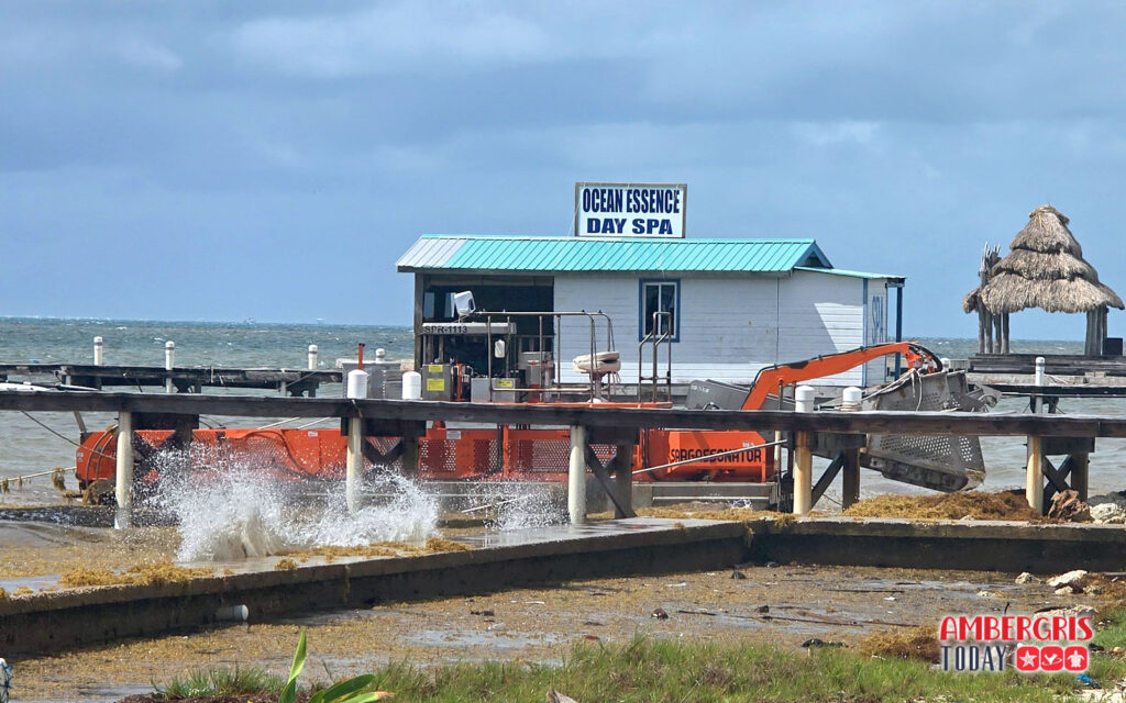 sargassum being called a national emergency
