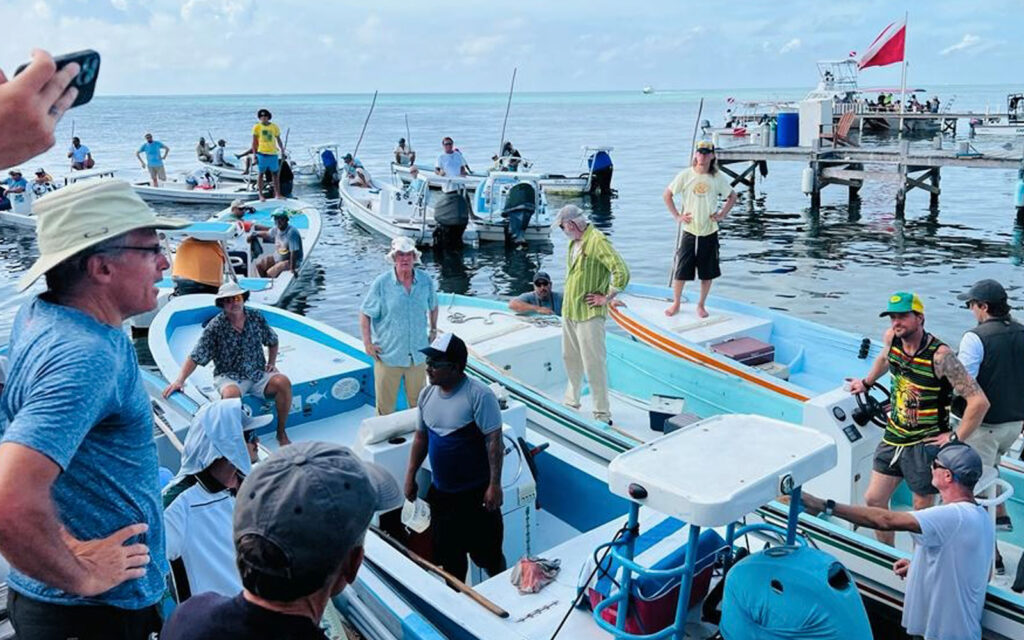 looking through water movie belize