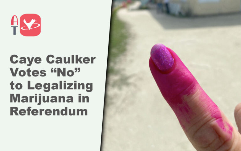 caye caulker marijuana referendum