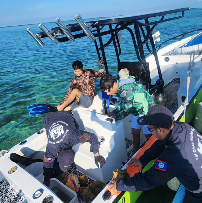 conch season patrol hol chan