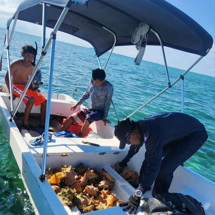 conch season patrol hol chan