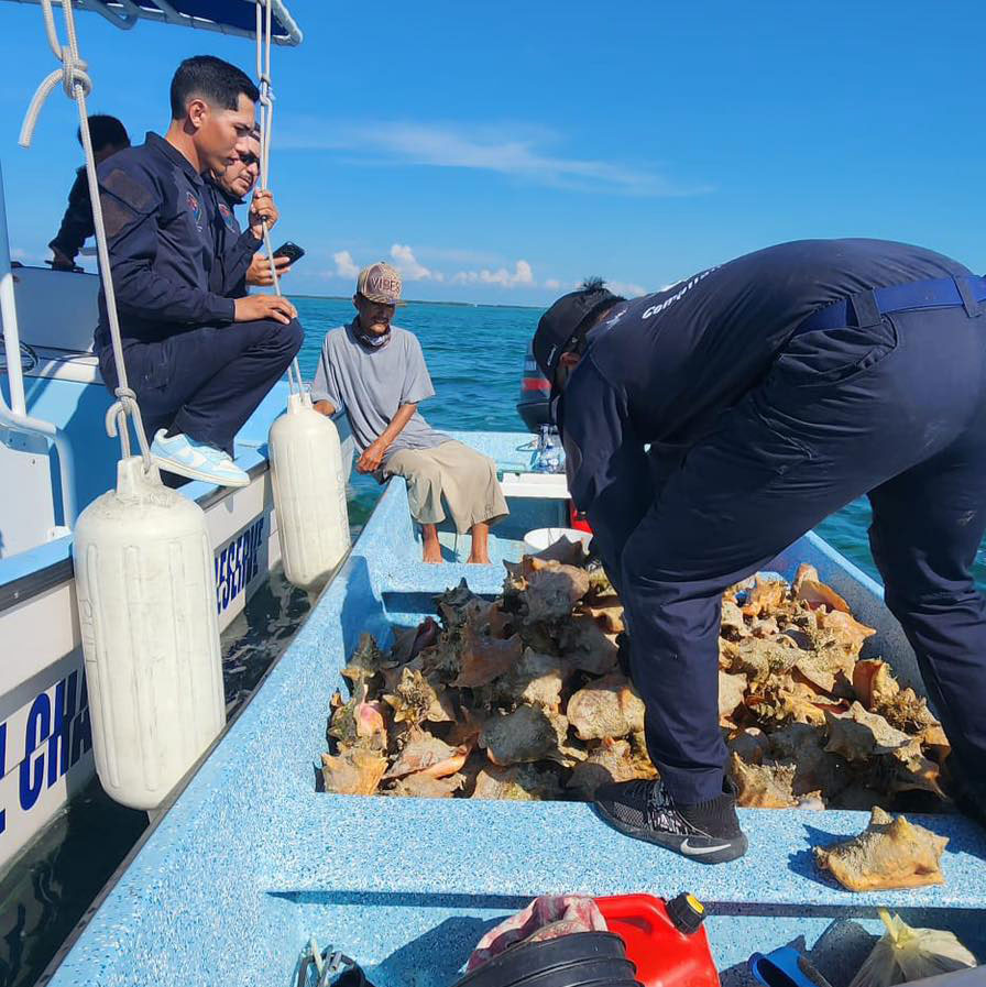 conch season patrol hol chan