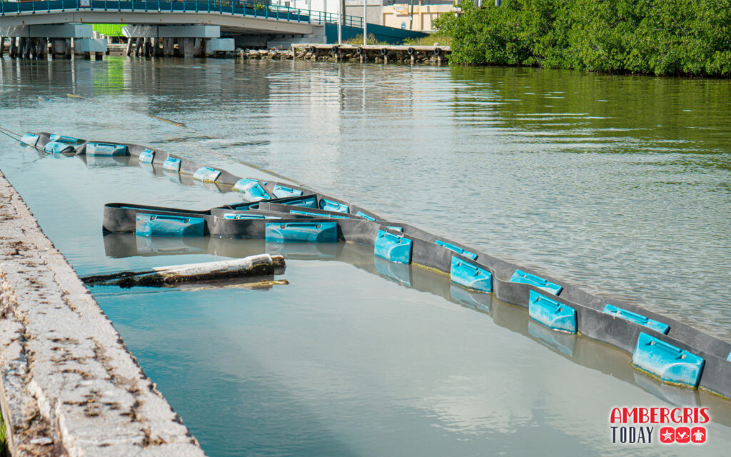 beach reclamation boca del rio