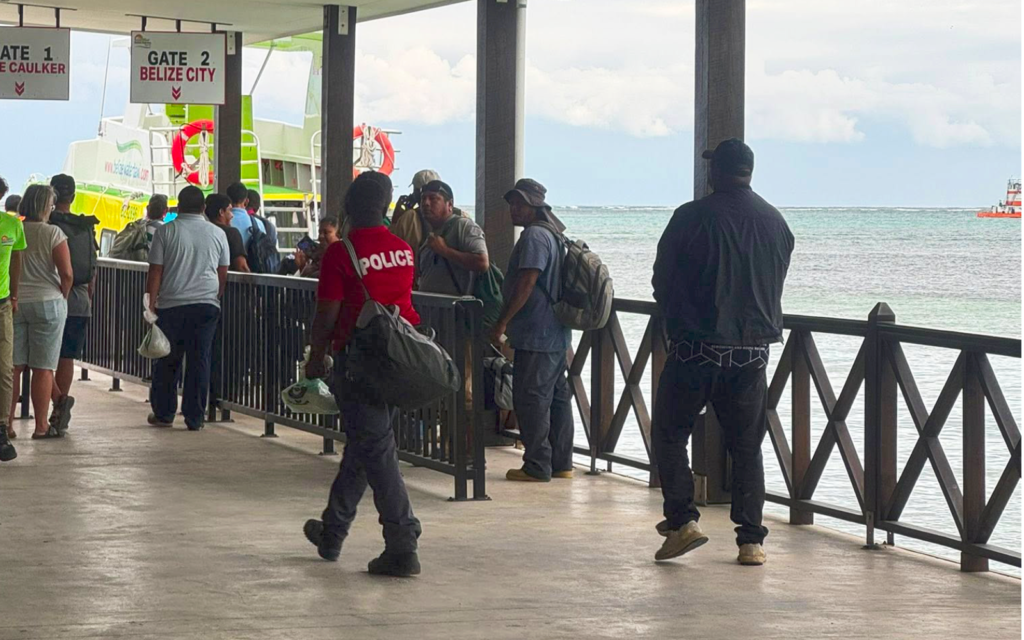 alex noralez sexual assault case