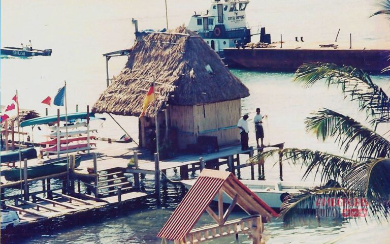 flashback fido's dock