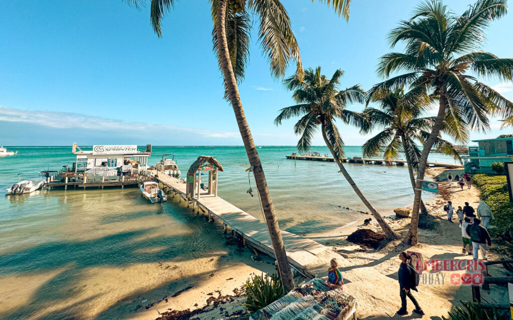 flashback fido's dock