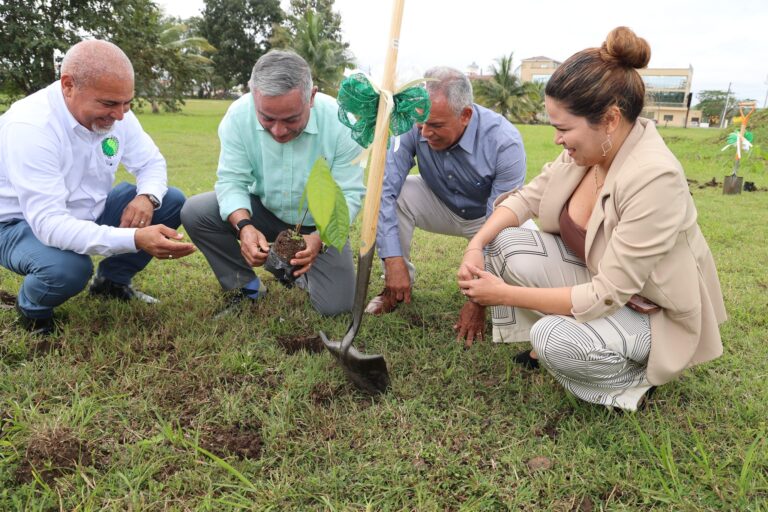 belize plant million trees
