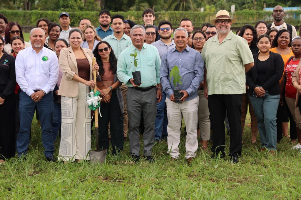 belize plant million trees