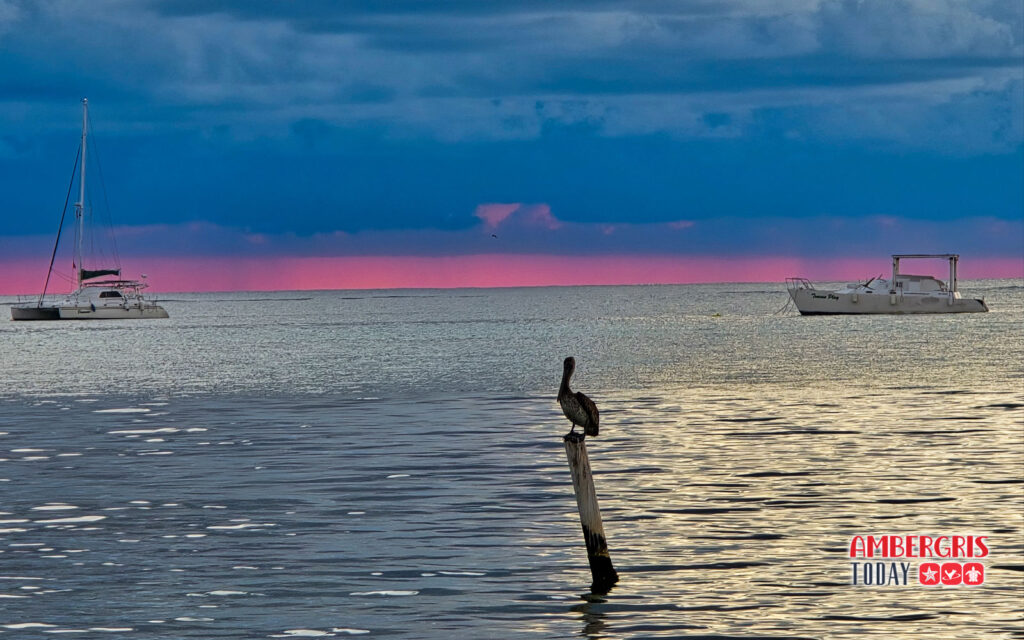 sunrise ambergris caye