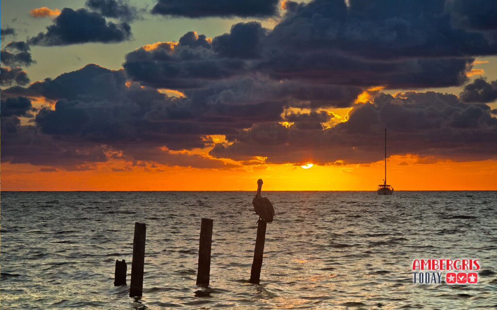sunrise ambergris caye