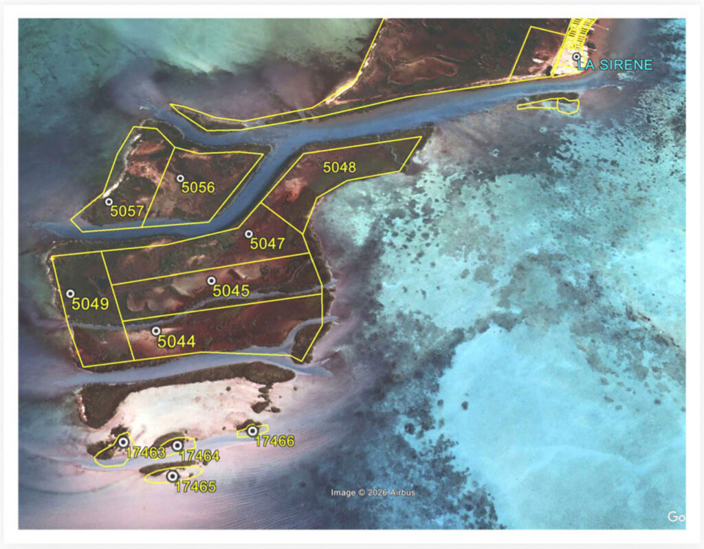 boca ciega siete canales hol chan marine reserve