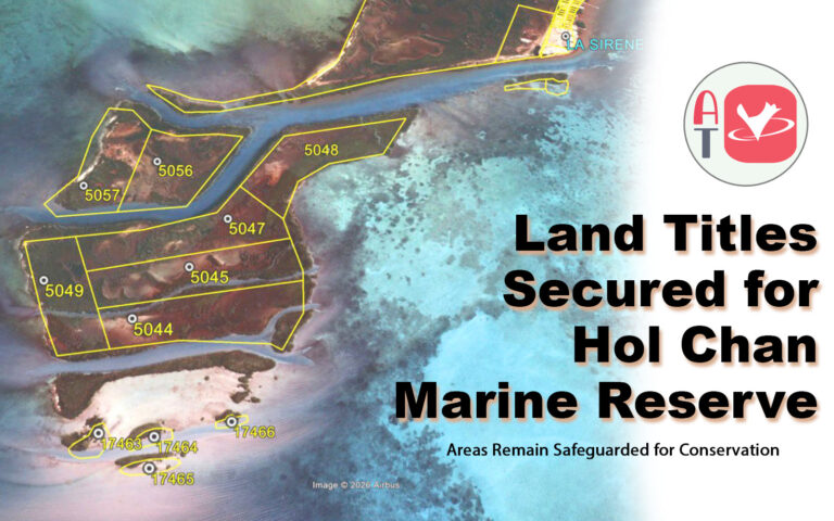 boca ciega siete canales hol chan marine reserve